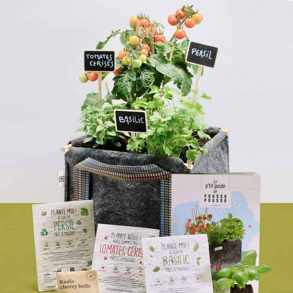 La Pousse Verte - Notre box de plantes écoresponsable